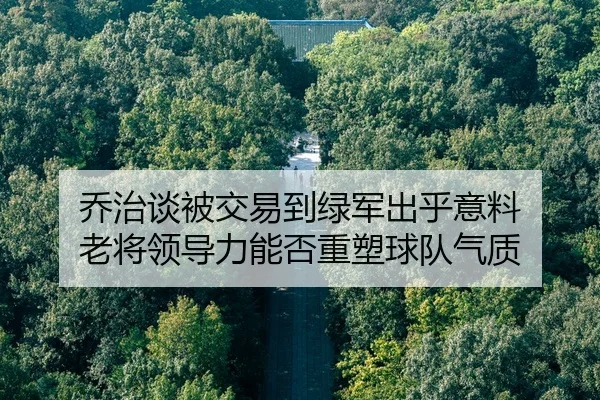 乔治谈被交易到绿军出乎意料 老将领导力能否重塑球队气质